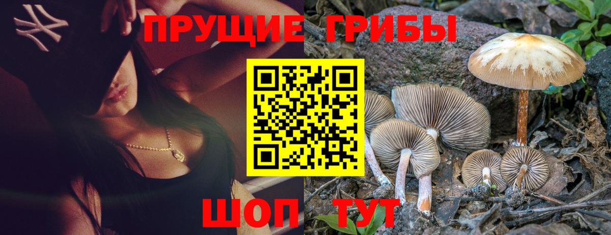 Галлюциногенные грибы MAGIC MUSHROOMS  Вход с VPN  Волгоград 
